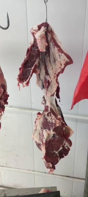 转让福盈天际大梭庄牛羊肉