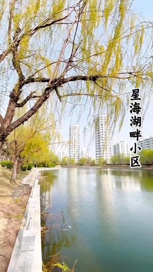 山东龙口星海湖畔现房二手房价格低