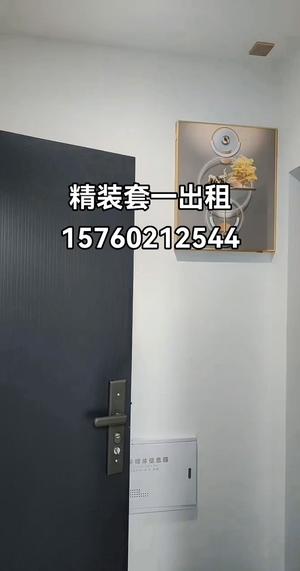 精装套一