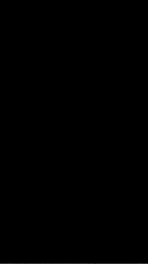 马犬种公对外借配
