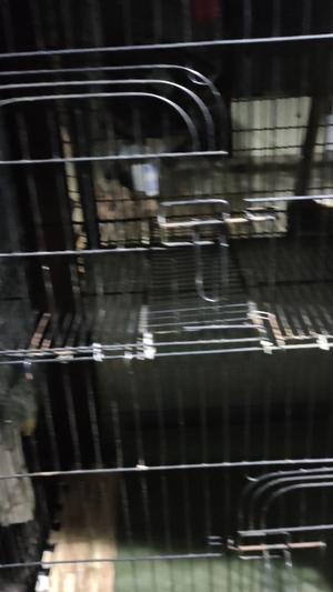 出售狗笼，猫笼，鸡笼