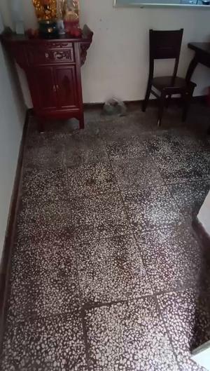 十七中对面群英西院2楼 普通住宅 简单装修