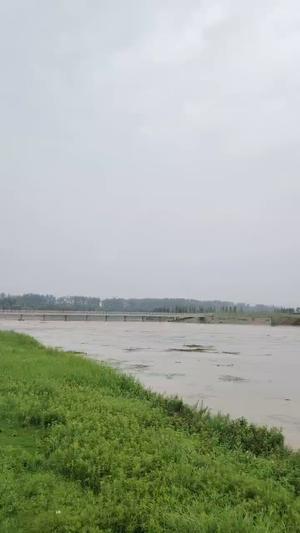 新大新B座公寓出租
