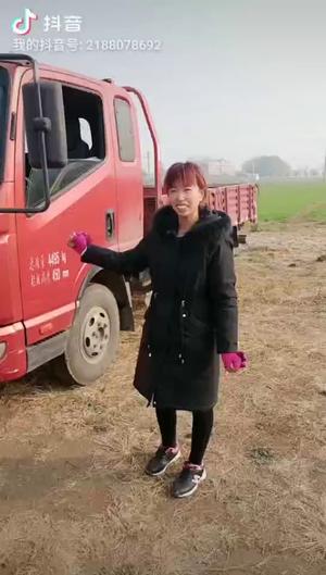17年凯马 凯捷平板车 国五