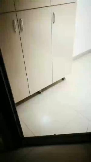 莲花公寓式住房招租
