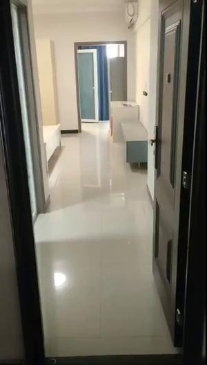地王广场商业街电梯精装公寓房精装配伶包入住