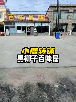 XA1039黑柳子工业百味居